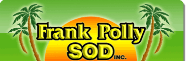 Sod Installation Groveland