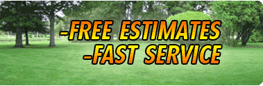 Central Florida Sod Maintenance