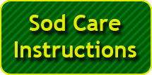 Sod Care Instructions